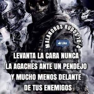 Meet your Posher, Fredi amilcar